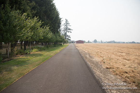 Mary's Driveway