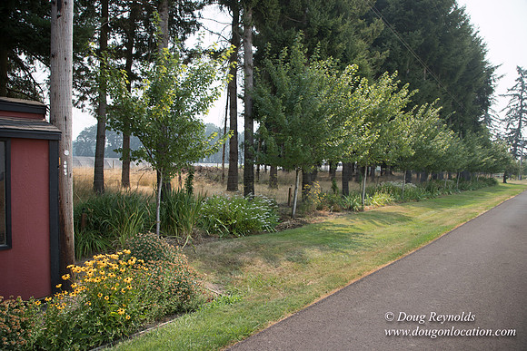 Mary's Driveway