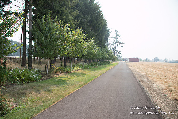 Mary's Driveway