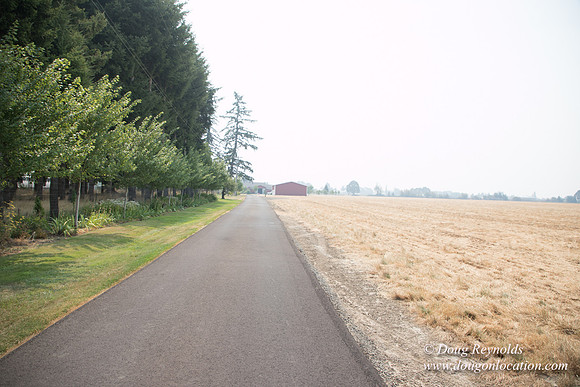 Mary's Driveway