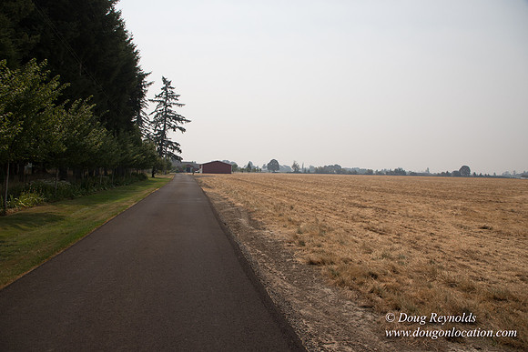 Mary's Driveway