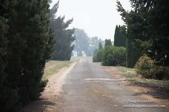 Neal's Driveway