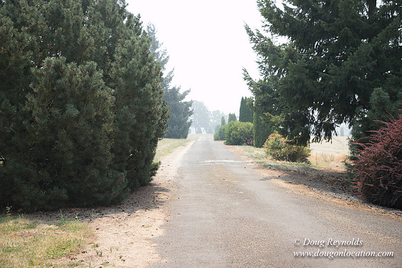 Neal's Driveway