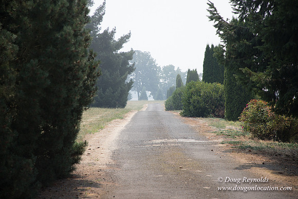 Neal's Driveway