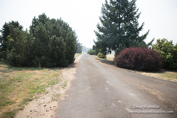 Neal's Driveway