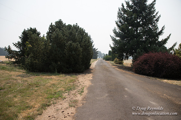 Neal's Driveway