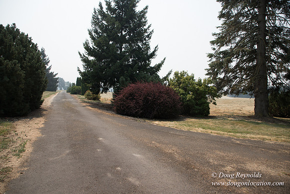 Neal's Driveway