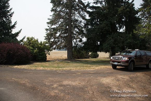 Neal's Driveway
