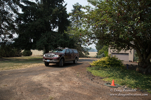 Neal's Driveway