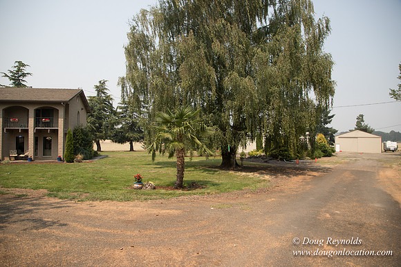 Neal's Driveway