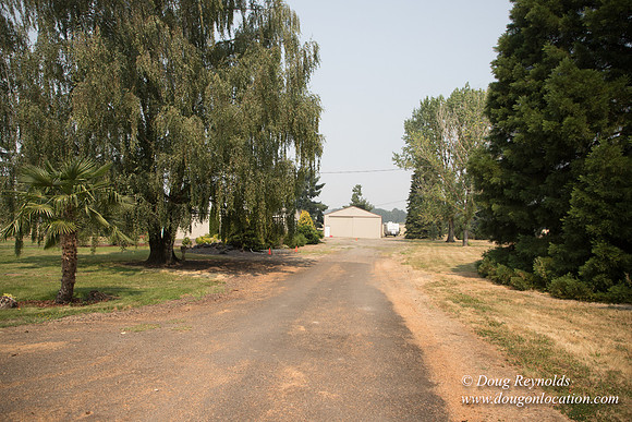 Neal's Driveway