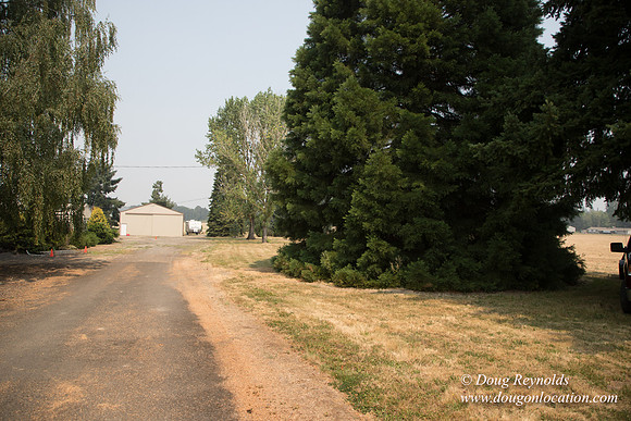Neal's Driveway