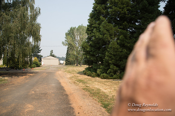Neal's Driveway
