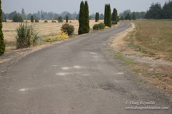 Neal's Driveway
