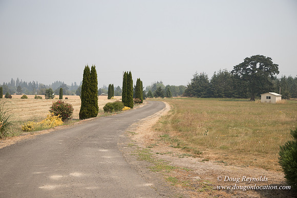 Neal's Driveway
