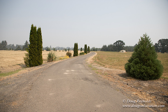 Neal's Driveway
