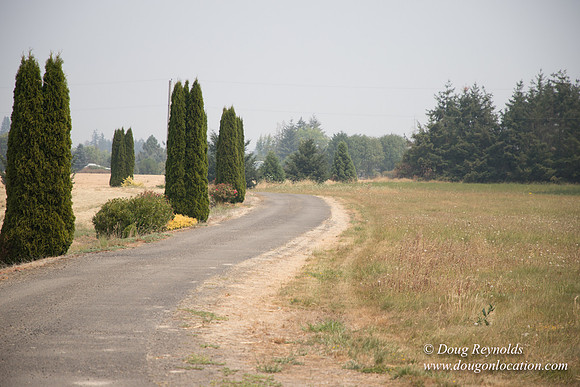 Neal's Driveway