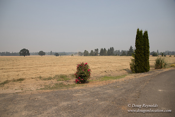 Neal's Driveway