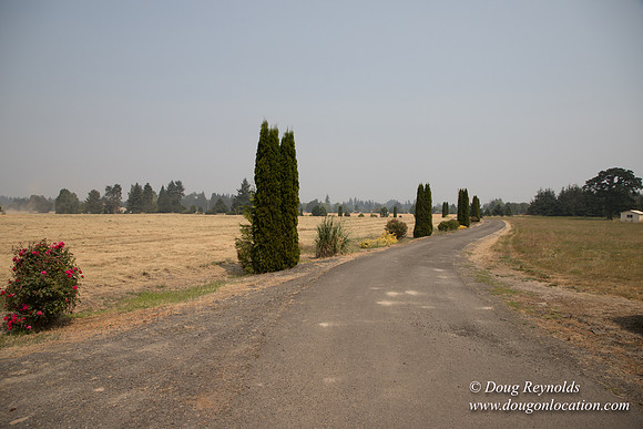 Neal's Driveway