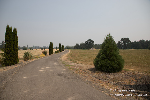 Neal's Driveway