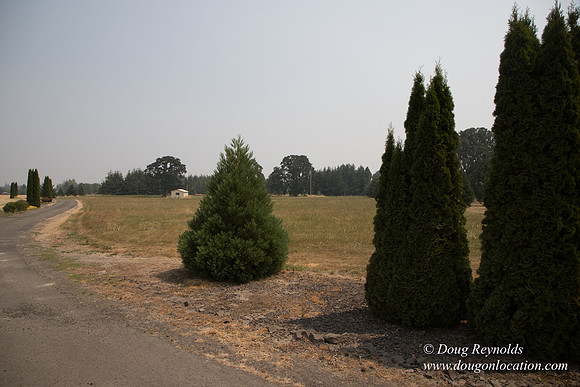 Neal's Driveway