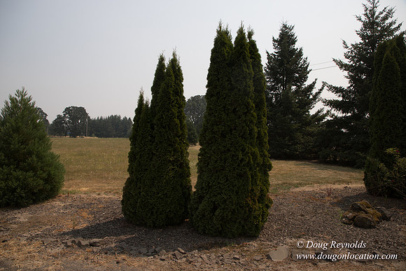 Neal's Driveway