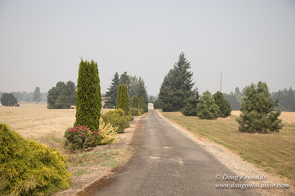 Neal's Driveway