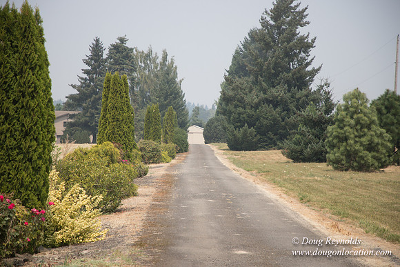 Neal's Driveway