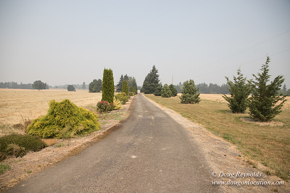 Neal's Driveway