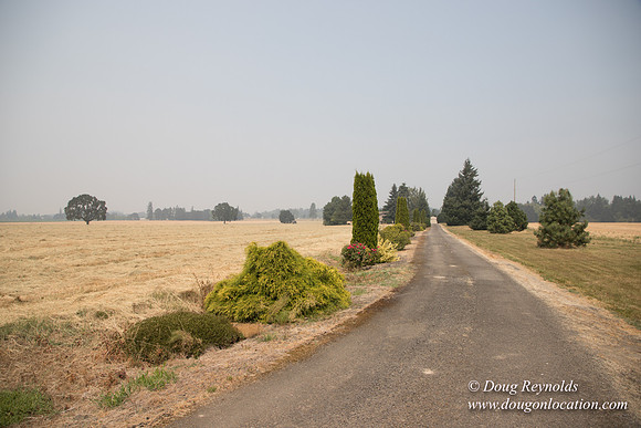 Neal's Driveway