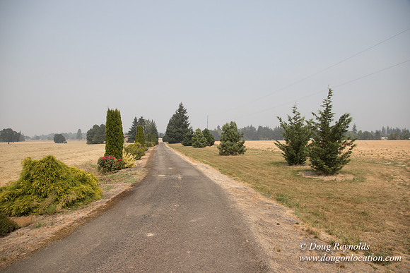 Neal's Driveway