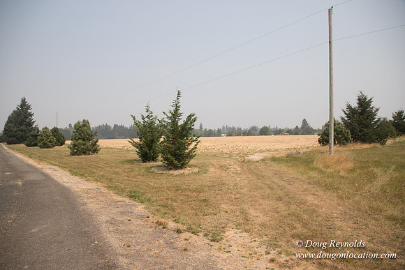 Neal's Driveway