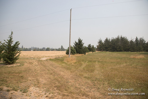 Neal's Driveway