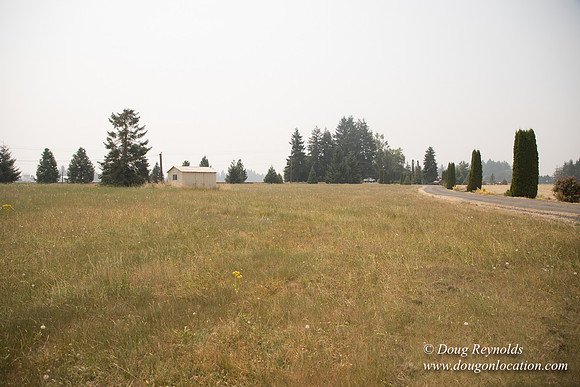 Neal's Driveway