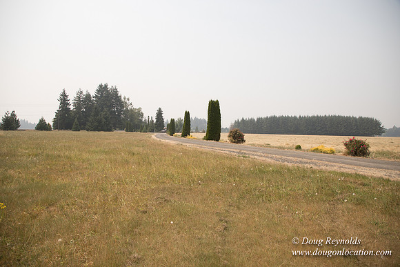 Neal's Driveway