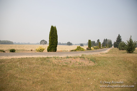 Neal's Driveway