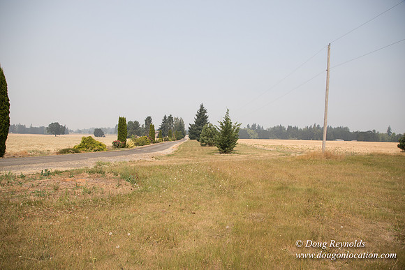 Neal's Driveway
