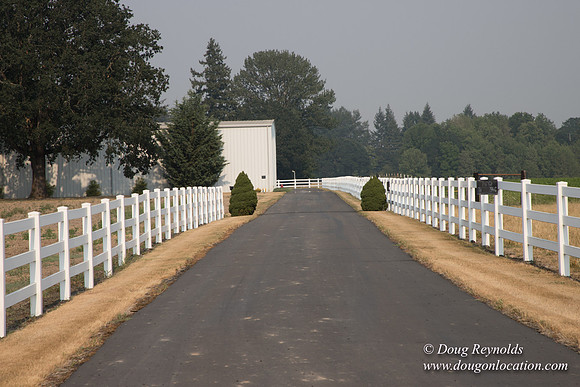 Stan's Driveway