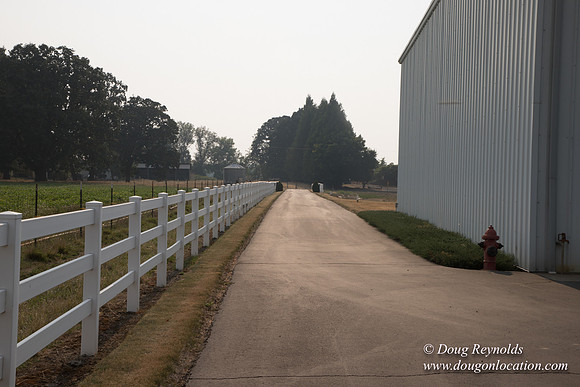 Stan's Driveway