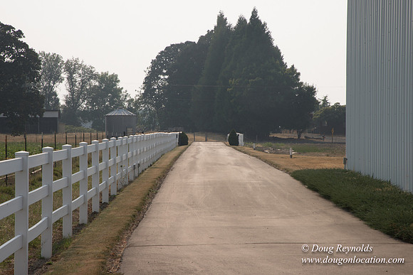 Stan's Driveway