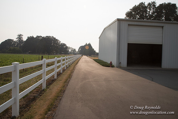 Stan's Driveway