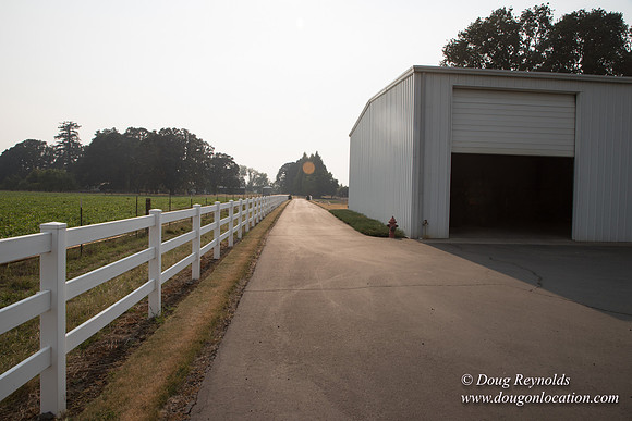 Stan's Driveway