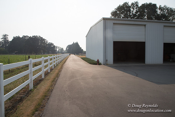 Stan's Driveway