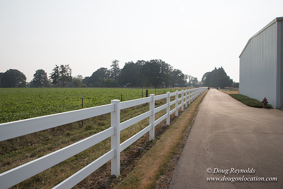 Stan's Driveway