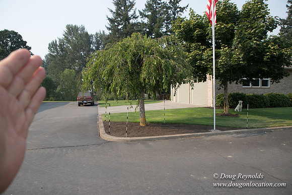 Stan's Driveway