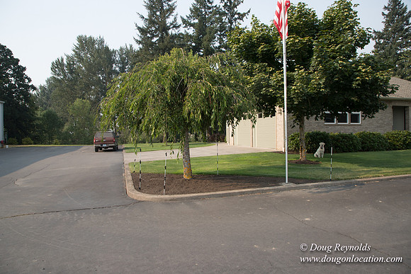 Stan's Driveway