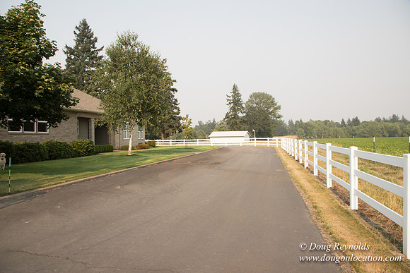 Stan's Driveway