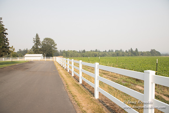 Stan's Driveway