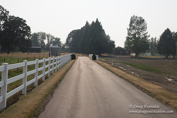 Stan's Driveway