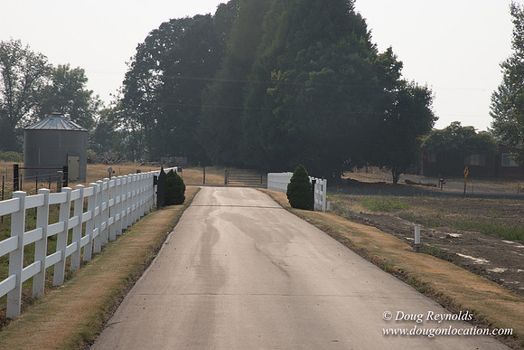 Stan's Driveway